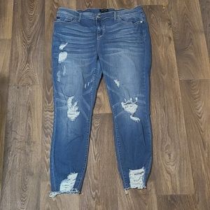 Judy blue high waisted distressed skinny jeans 1x